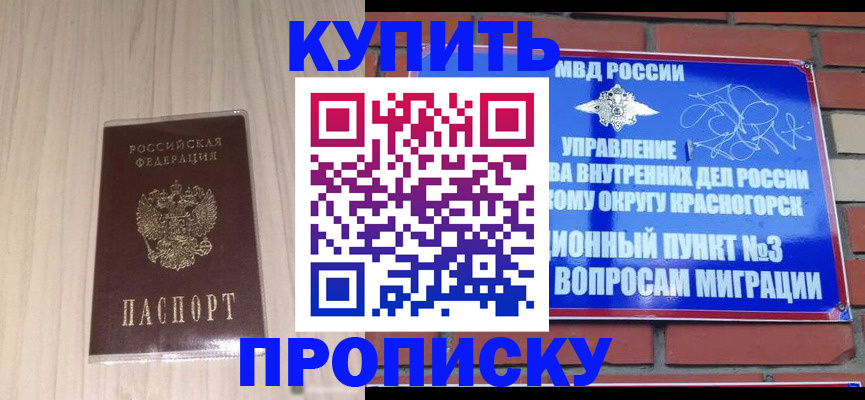 временная регистрация для всех в Курчалом